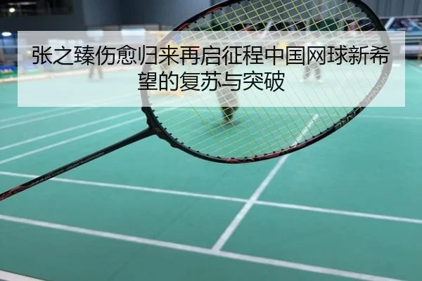 张之臻伤愈归来再启征程中国网球新希望的复苏与突破