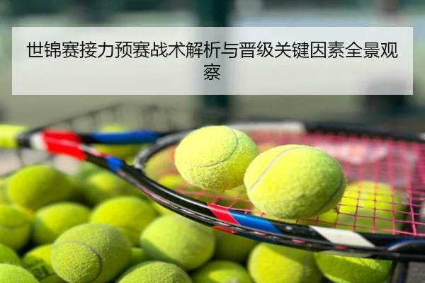 世锦赛接力预赛战术解析与晋级关键因素全景观察